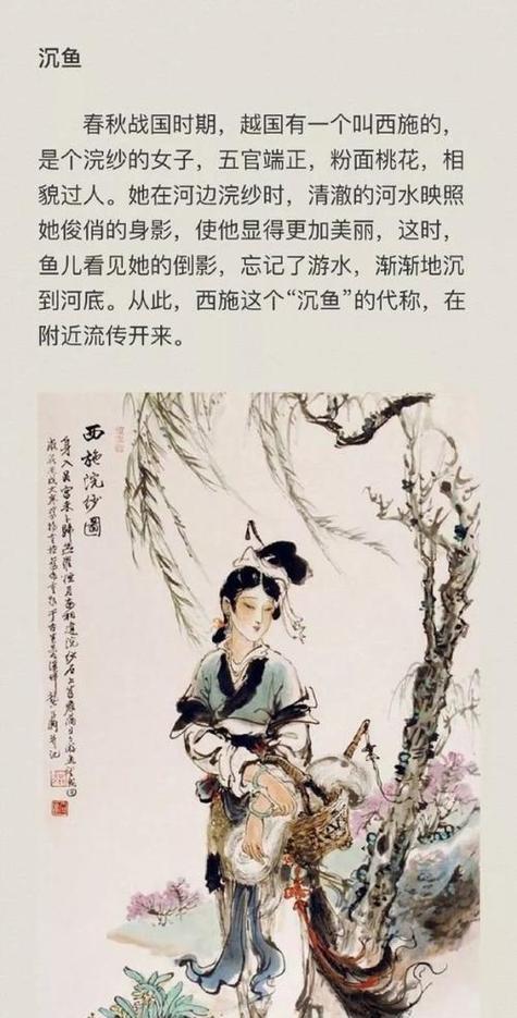 《梦三国手游》冷漠刺客（以沉鱼落雁之姿，掌控敌人生死，让你爱上这位美艳杀手！）