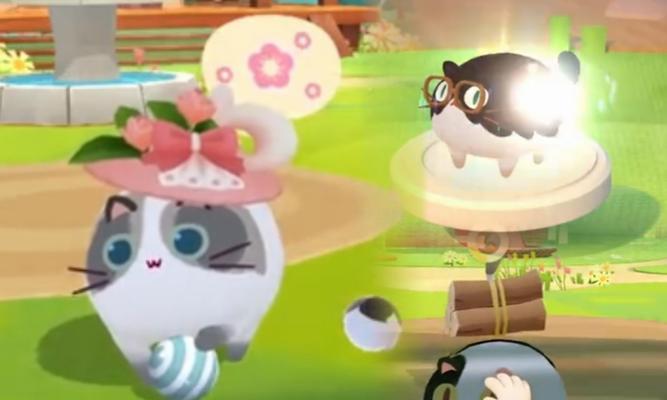 《猫咪公寓2》新手攻略（如何选择适合自己的猫咪？）