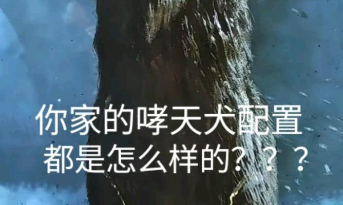 《大王不高兴手游》哮天犬技能介绍（掌控哮天，带你畅游三界）