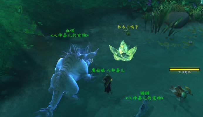 Dinkum钥匙获取方法大全（让你轻松获得Dinkum钥匙的实用技巧）