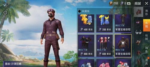 和平精英皮肤衣服怎么领取,解锁个性风采，轻松领取心仪皮肤与衣服攻略