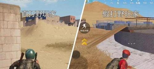 和平精英怎么样才能打架,高效战斗攻略，教你如何成为战场高手