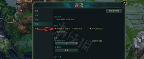英雄联盟全部语言怎么发,英雄联盟全球文化融合的壮丽篇章