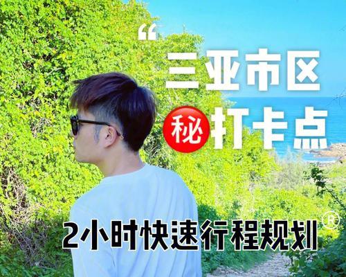以荒岛求生攻略（全面掌握关键技能，成为荒岛求生高手）