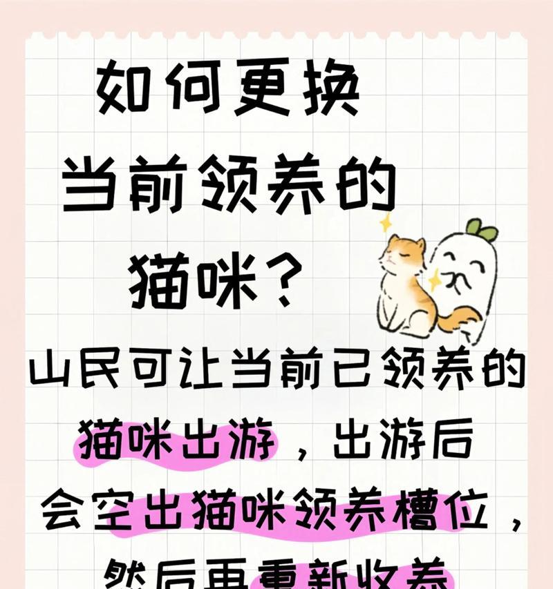 我与猫的生活游戏攻略（用心相待，开启猫咪的心灵之门！）