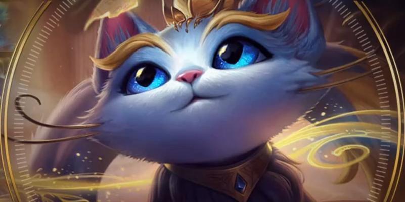 魔法猫咪（打造无敌魔法猫咪装备，让你无往不利！）